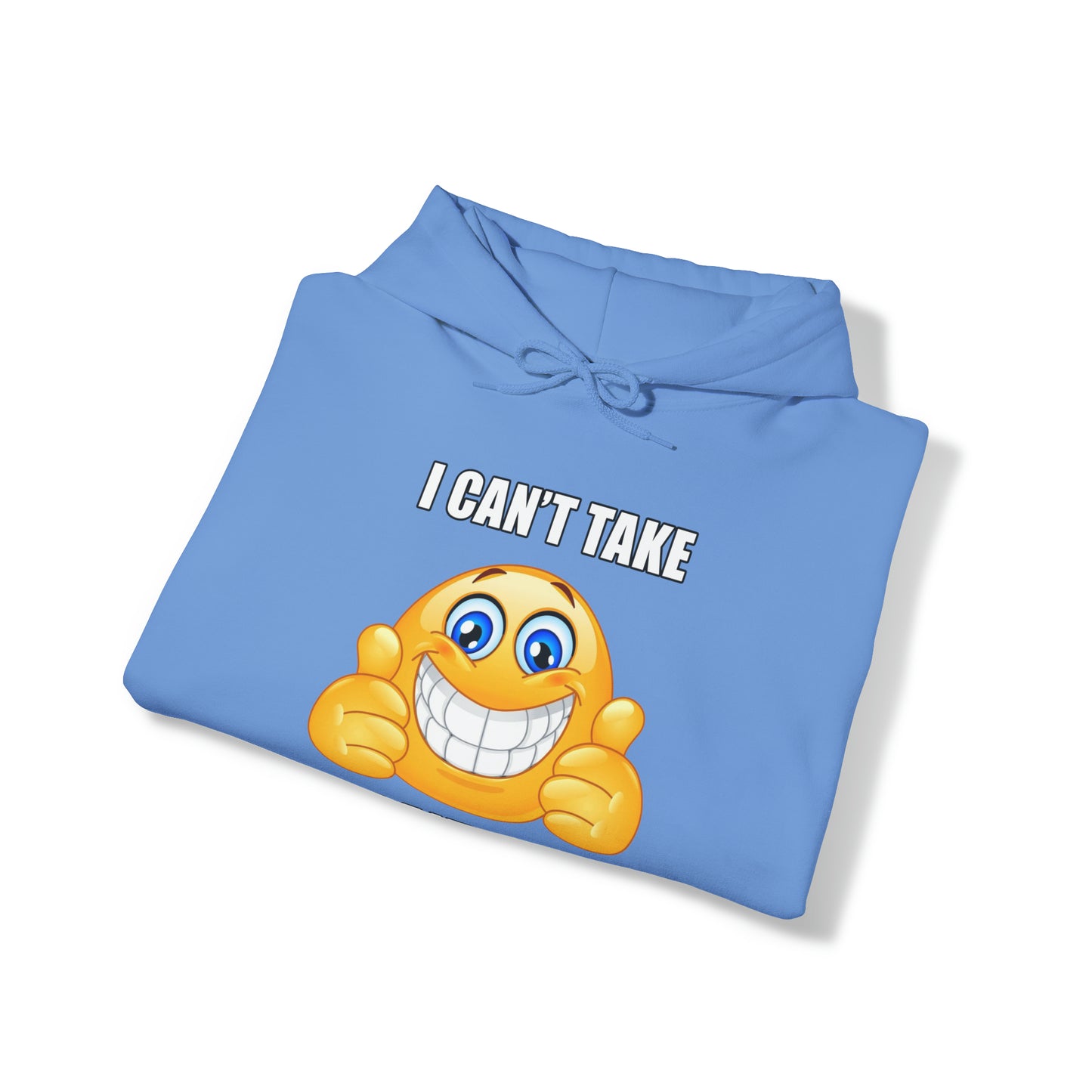 I Can't Take It Anymore Hoodie