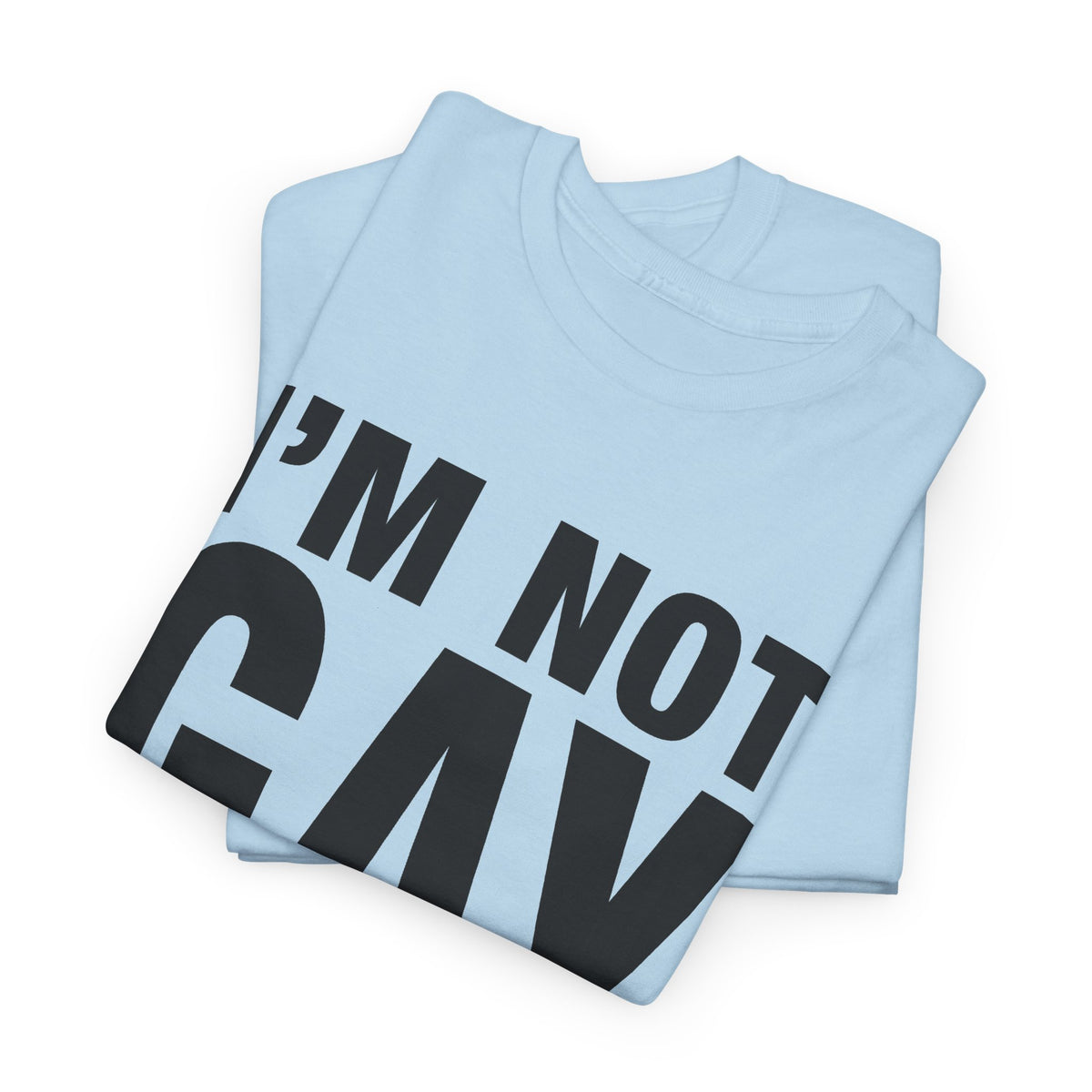 I'm Not Gay But $20 is $20 T-Shirt