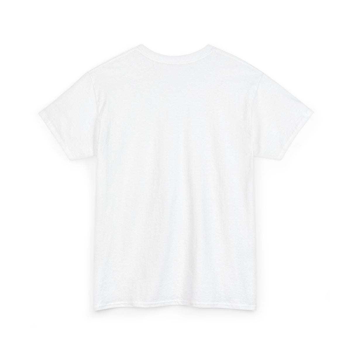 Pie Chart Of Countries That Got Nuked T-Shirt