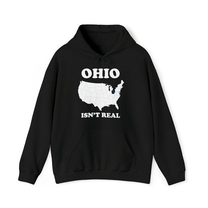 Ohio Isn't Real Hoodie