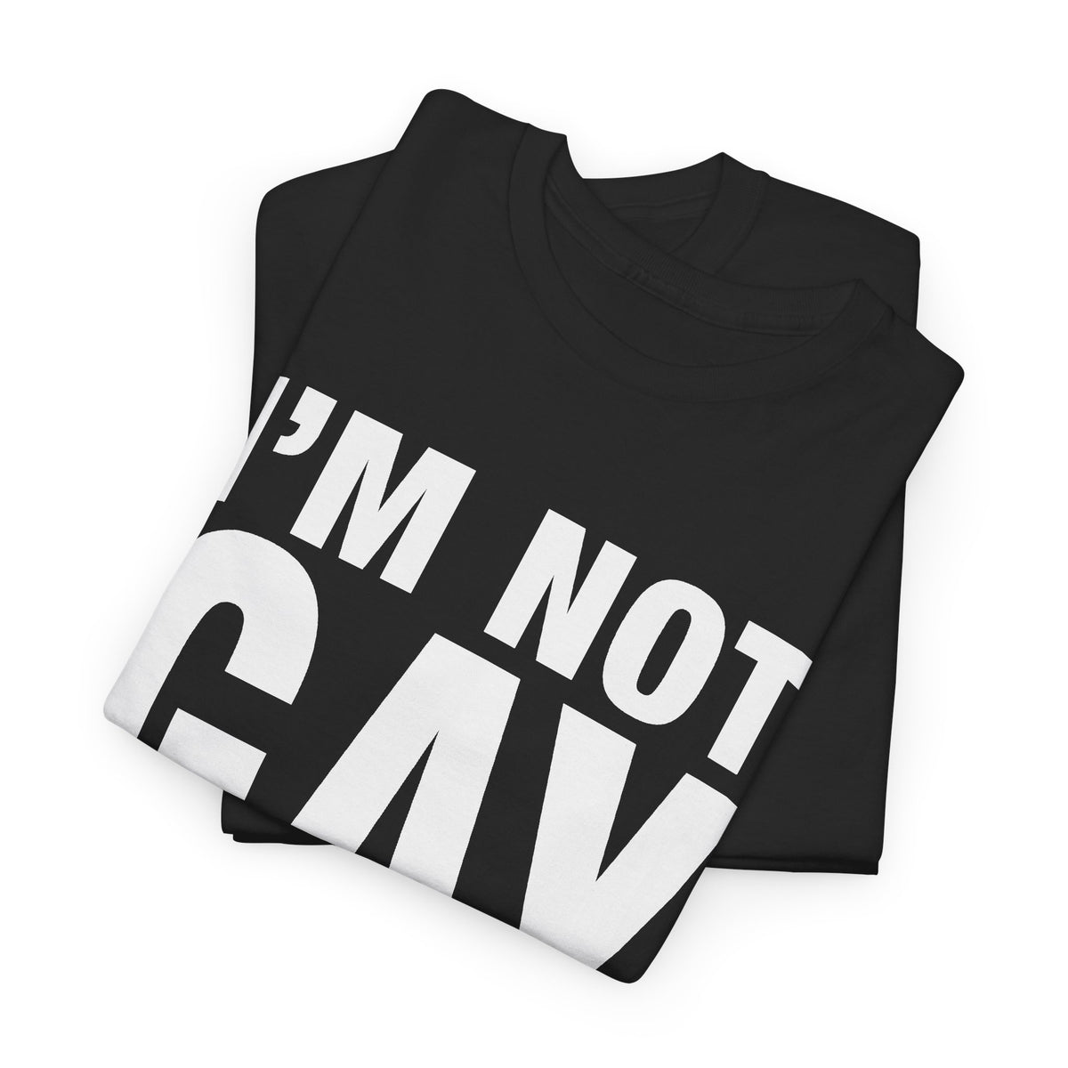 I'm Not Gay But $20 is $20 T-Shirt