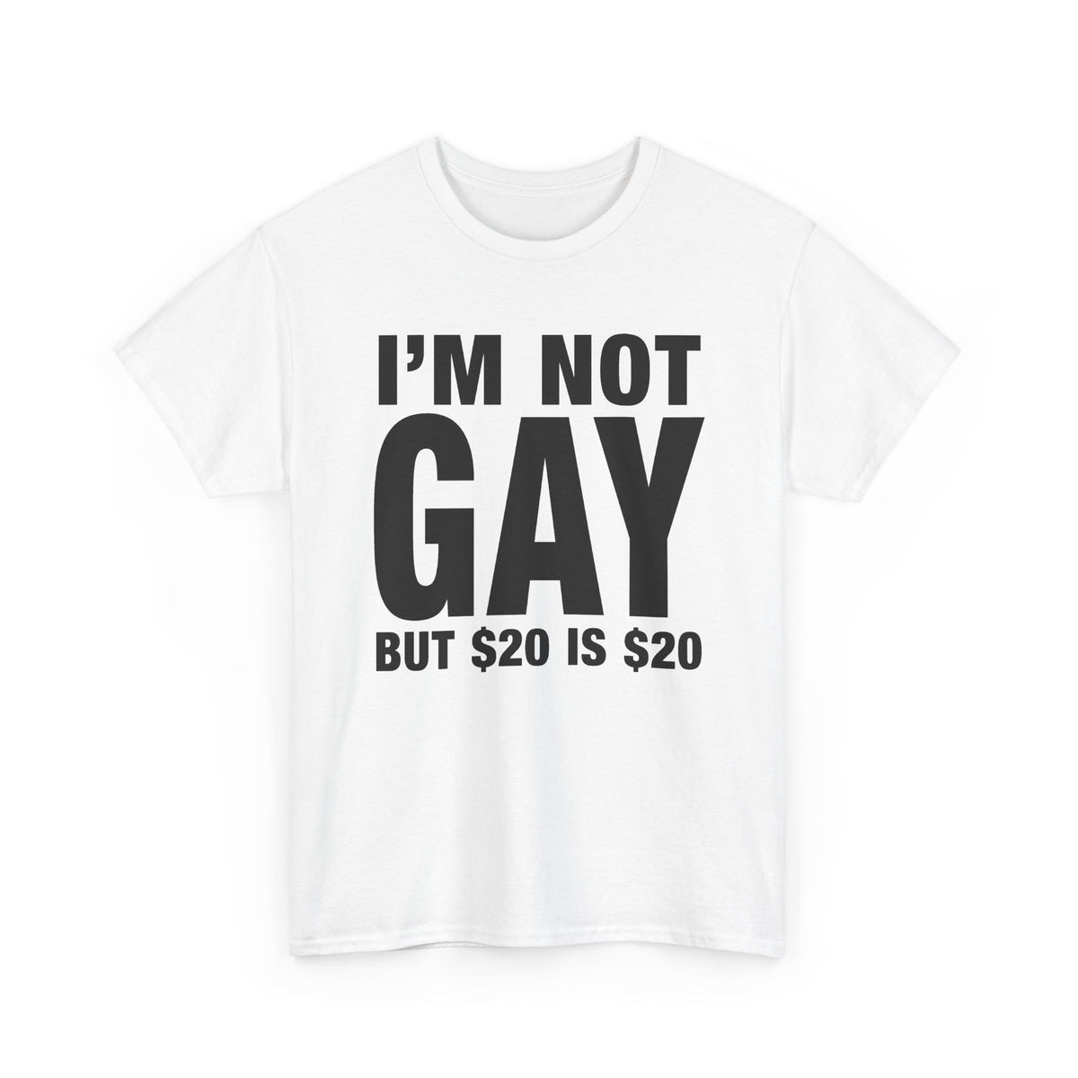 I'm Not Gay But $20 is $20 T-Shirt